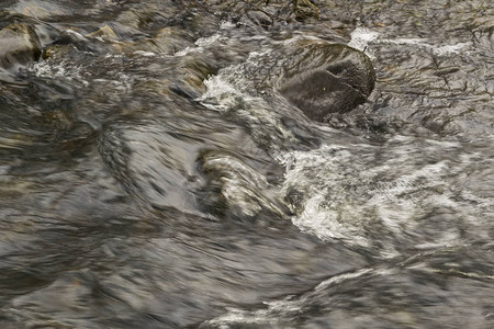 水在野生河流中模图片