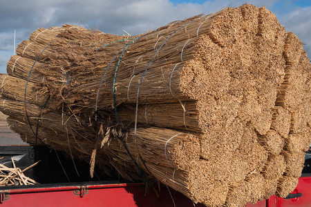 从东欧进口的茅草堆放在英国德文郡的一辆皮卡车上图片