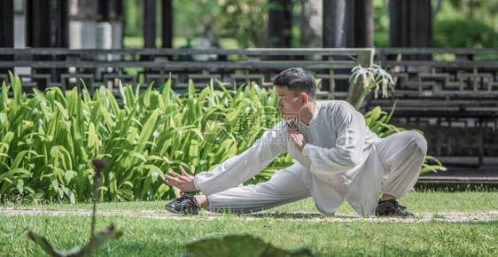 太极拳师手执练武功图片