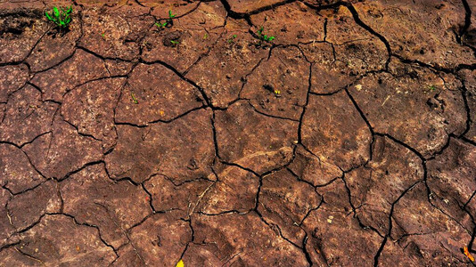 干旱分解脱水土壤深图片