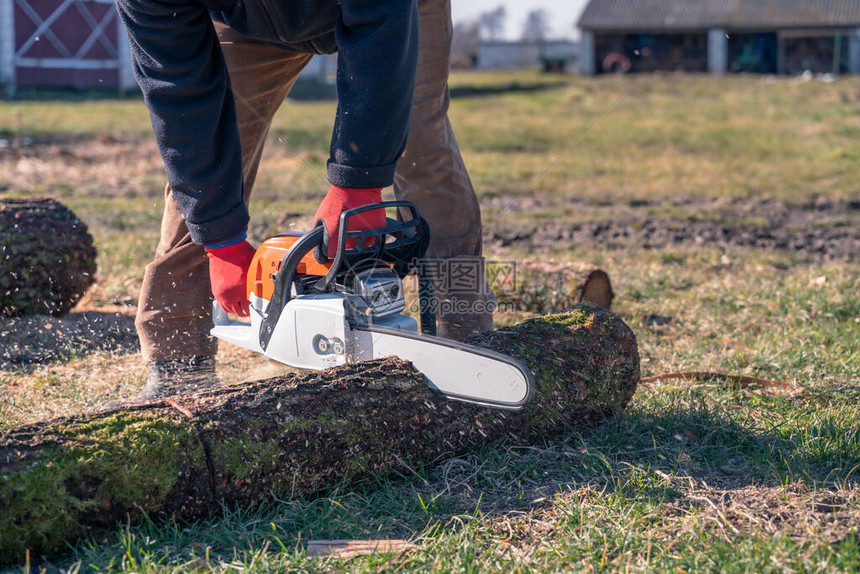 一个人用锯子砍树高清图片下载-正版图片504414085-摄图网