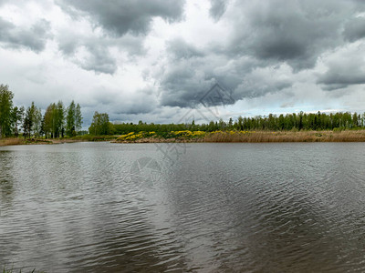 湖水倒映着鱼塘积云和树木的景观图片
