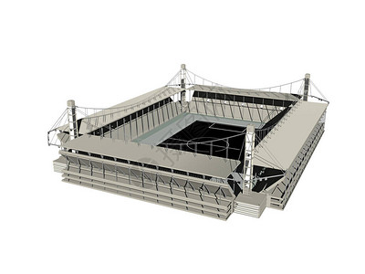 冠状长方图片