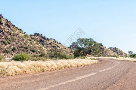 Keetmanshooop附近C16号公路上的道路景观图片