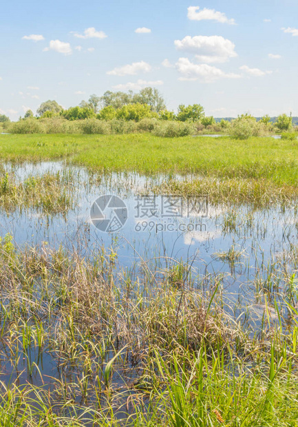 波尔西一小条河谷的洪涝草原阳图片