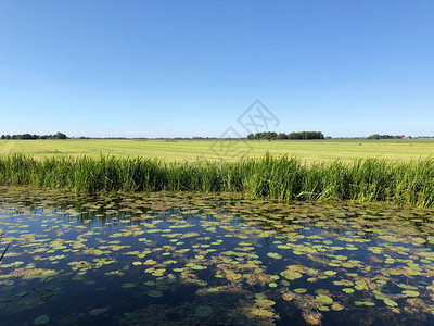 荷兰弗里斯兰Sneekermeer附近一条河图片