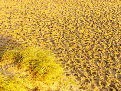 海沙丘中的沙路景观图片