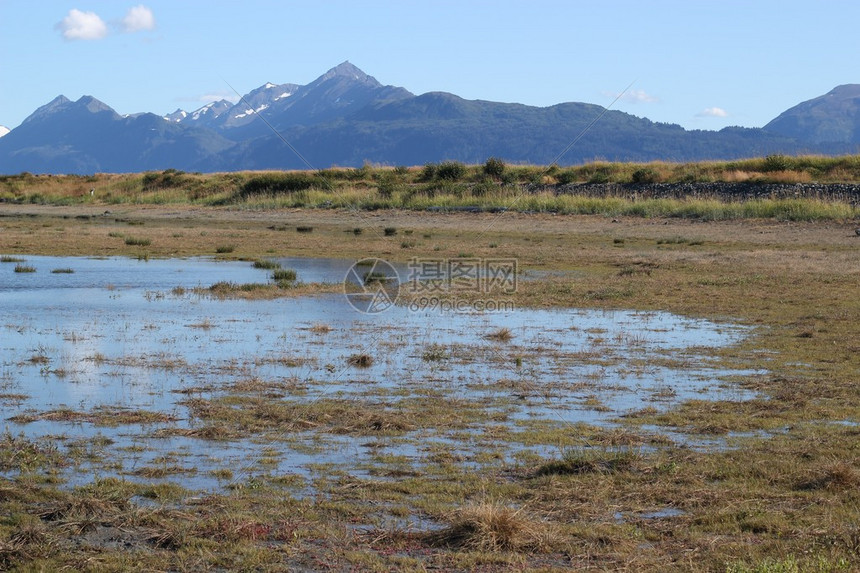 阿拉斯加Kachemak湾附近的湿地在一个阳图片