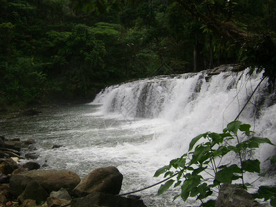 菲律宾苏里加奥德尔南的蒂努伊瀑布流图片