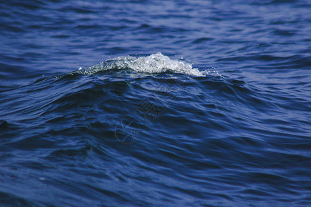 海水飞溅海浪飞溅海景近海水面图片