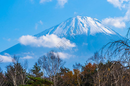 日本秋季天湖周围有青木叶树的美图片