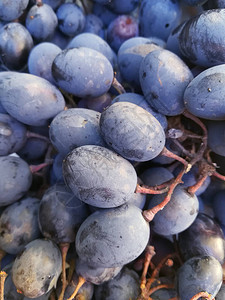 葡萄蓝紫罗兰背景美味的果子水图片