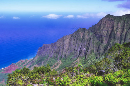 夏威夷Kauai的太平洋沿图片