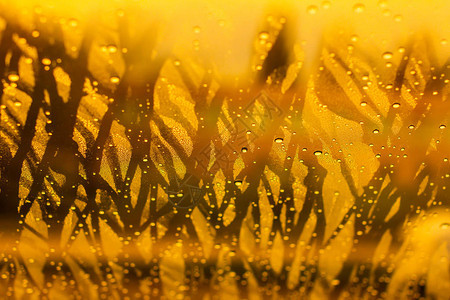 雨后汽车玻璃窗上的水滴图片