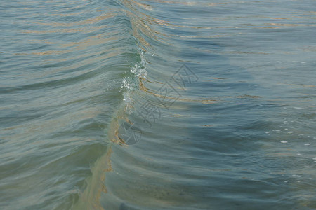 海水海边有波动浪和白泡图片