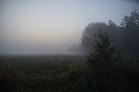 在秋雾中等待日出背景图片