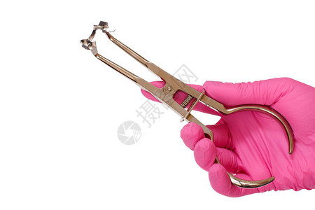 牙医手握着粉红色的乳胶手套图片