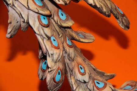 橙色背景上的孔雀羽毛图片