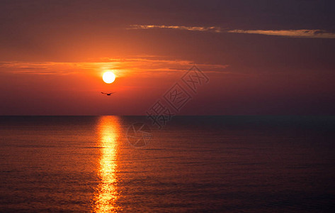 夏季海上美丽的日落图片