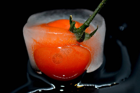 黑色背景的冷冻红番茄黑背景图片