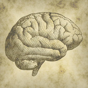 脑退化疾病帕金森突触神经元阿图片