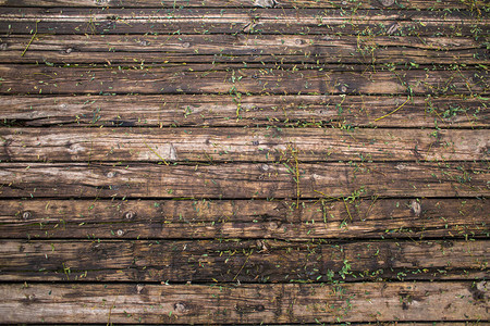 旧木质地板草苗穿过码头间隔的缝图片