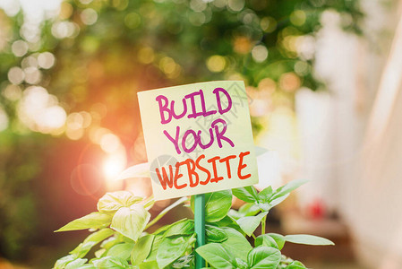 手写文字写作建立您的网站概念照片建立电子商务系统以推销业务附在棍子上并放置在绿叶植物图片