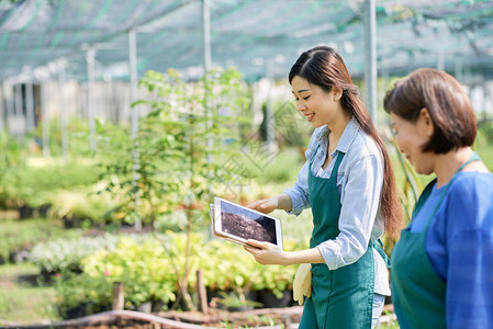 越南女农场工人在种植时阅读平板图片