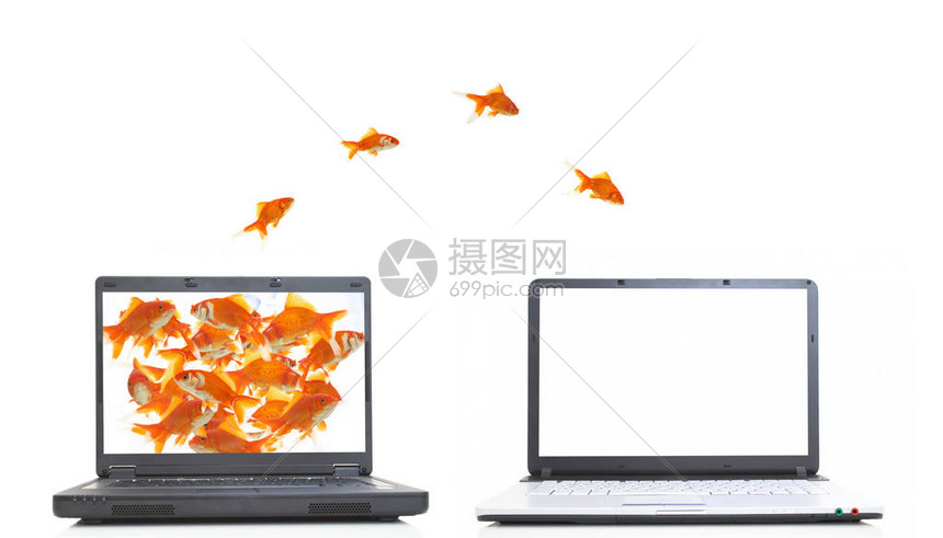 金鱼在笔记本电脑之间跳跃以建图片