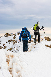 山羊群在雪上攀登山脊在冬天探索山峰图片