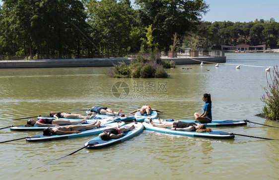 sup板上的瑜伽年轻女孩在城市湖上的SUP板上划桨团体女正在板上练习图片