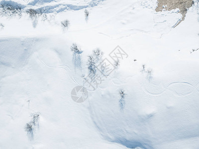 雪中滑雪轨的空中观察在后用粉末滑雪图片