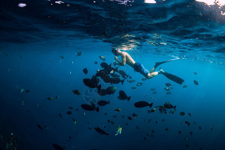 自由潜水人游泳和在海洋中图片