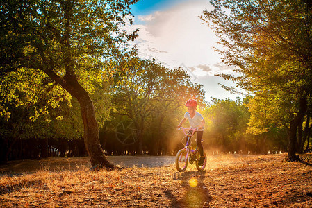 秋季在森林里骑自行车玩得图片