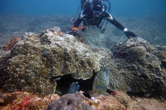 潜水员摆在石头上下面有一图片