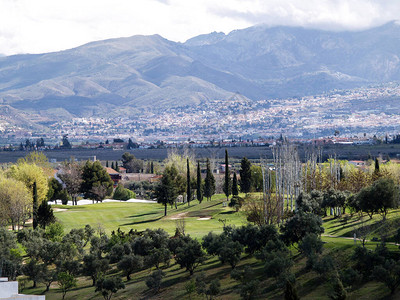 山谷的高尔夫球场背景图片