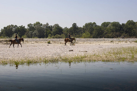 两人骑马在意大利隆巴迪亚伯纳特提西诺河沿图片