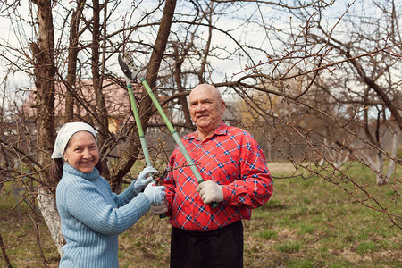 乡下花园的树枝中男士和女老人图片
