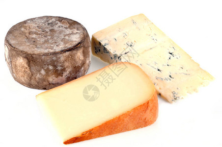 白色背景上的各种奶酪特写背景图片