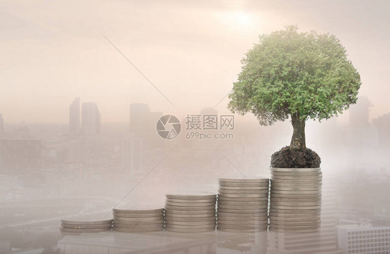 金融银行和增值货币增长概念这棵树生长在有城市商业背景的图片