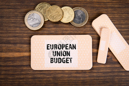 欧洲工会预算财务基金共同支付支助和政策概念图片