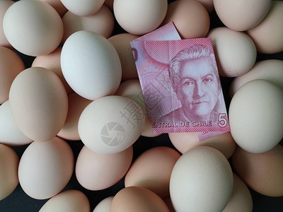 蛋的消费和生产成本智利纸币5000比索和有机鸡蛋数量千分之5图片