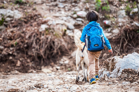 一个背着包的男孩带着狗穿过公园孩子正在抚摸狗牧羊犬和它的主人一起去树林里友图片