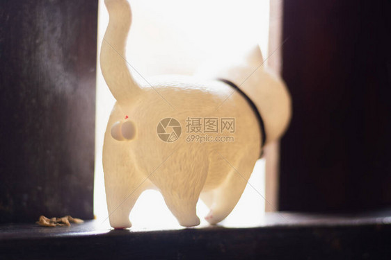 长着小球的可爱白猫站立和阳光线背景图片