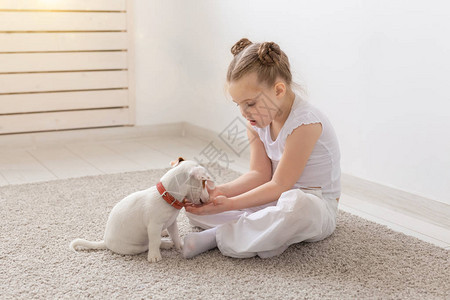 人儿童和宠物概念小女孩与可爱的小狗一起坐图片