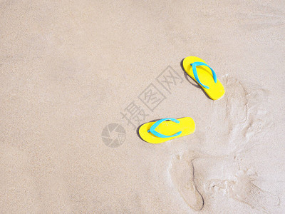 黄色沙滩的顶端景象在蜜蜂沙滩上夏日海滩背景图片