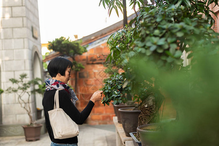 现代亚洲女在古图片