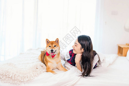 一个女孩睡在日本式的白色卧室里床边有一只小白猪图片