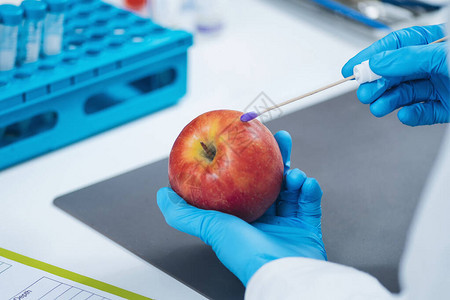 在实验室中对苹果进行食品农药和硝酸盐测试寻找苹果实中是否存在农药和硝酸盐图片