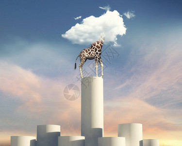 Giraffe站在更高的柱子图片